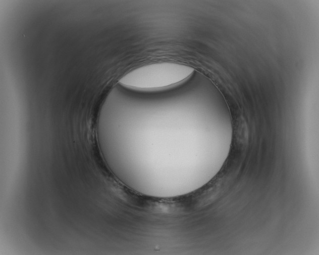 X0000112070420200908040954