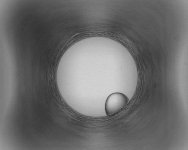 X0000112070421200908040954