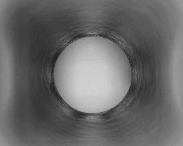 X0000112070422200908040954