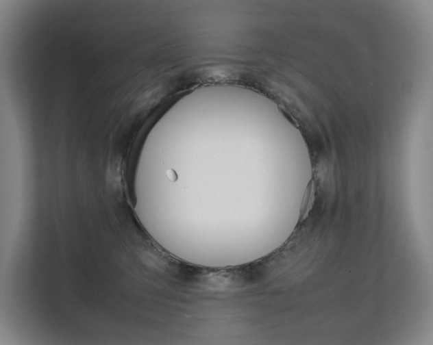 X0000112070423200908040954