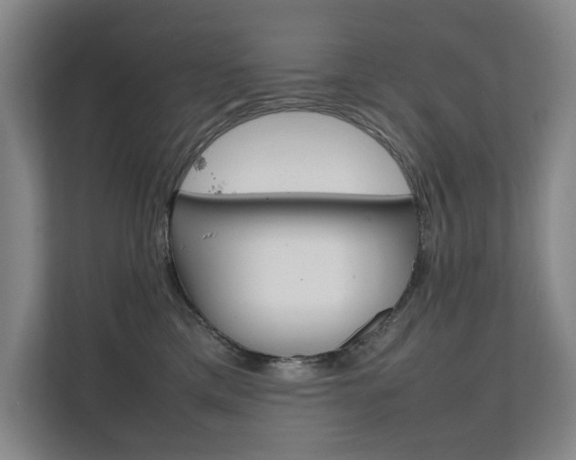 X0000112070425200908040954