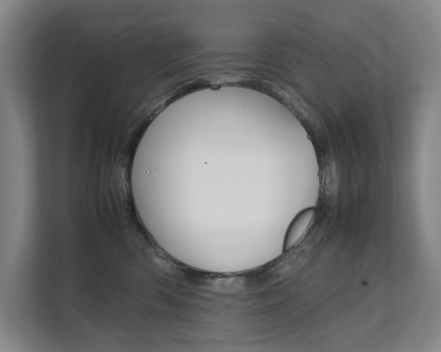 X0000112070426200908040954