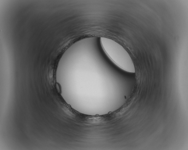 X0000112070428200908040954