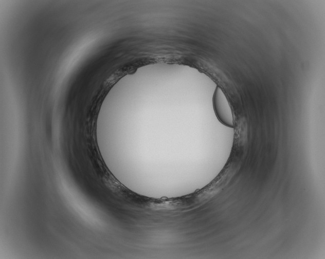 X0000112070430200908040954