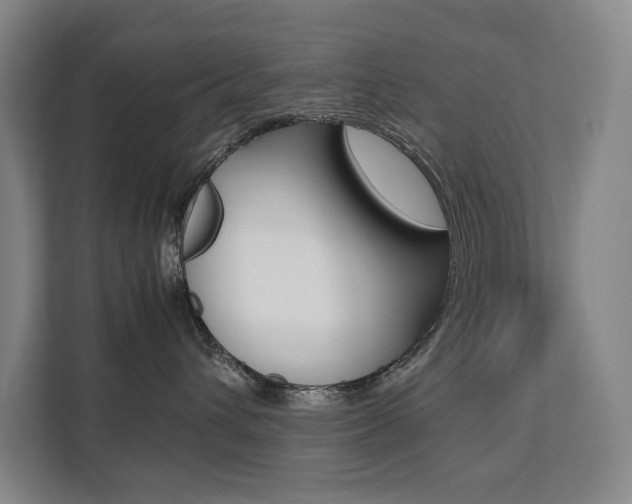 X0000112070432200908040954