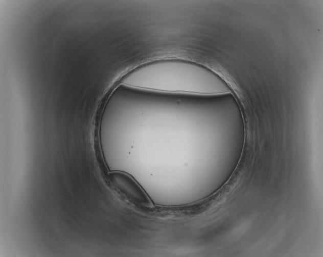 X0000112070434200908040954
