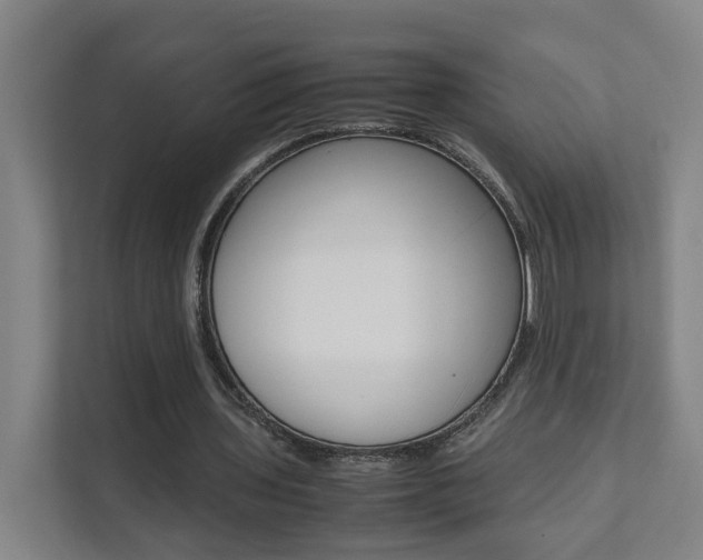 X0000112070435200908040954