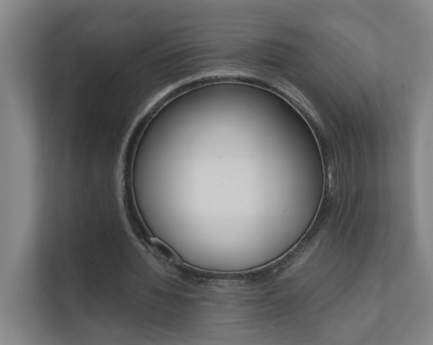 X0000112070436200908040954