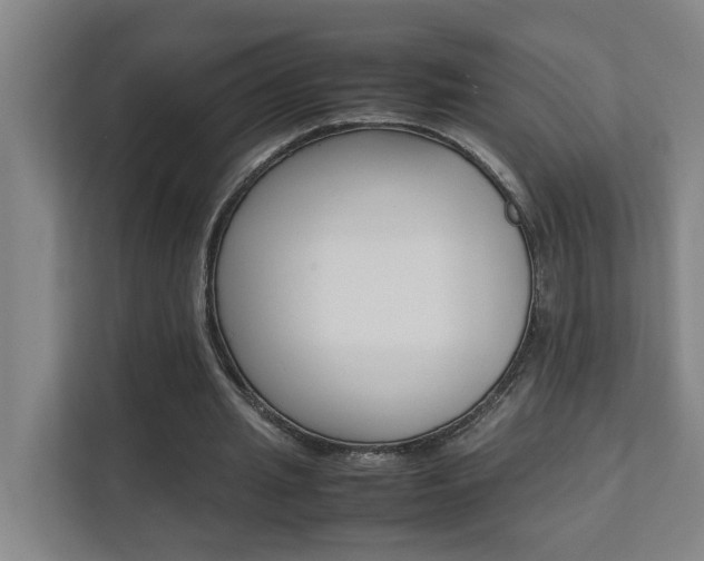 X0000112070437200908040954