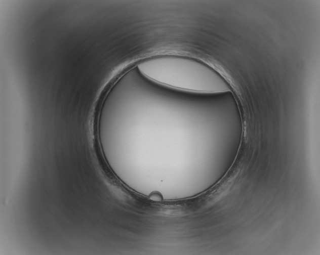 X0000112070438200908040954