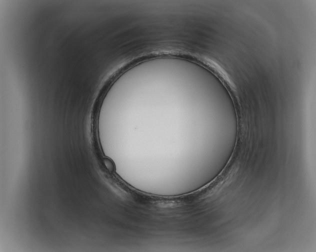 X0000112070439200908040954