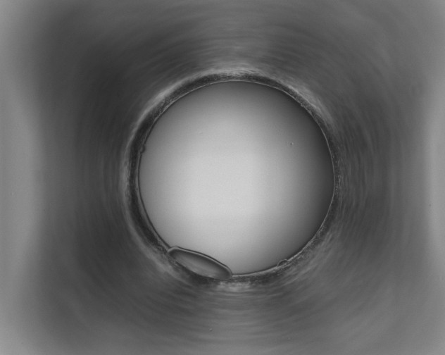 X0000112070440200908040954