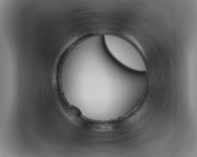 X0000112070443200908040954