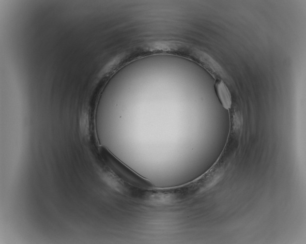 X0000112070444200908040954