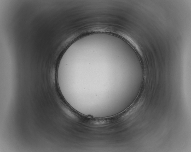 X0000112070445200908040954