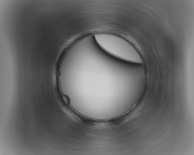 X0000112070446200908040954