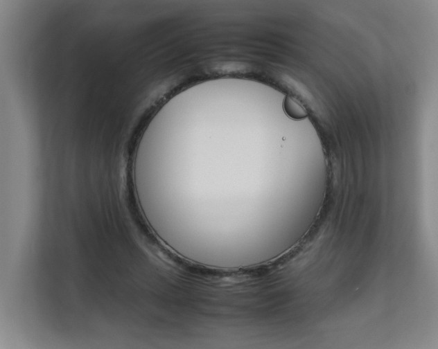 X0000112070447200908040954