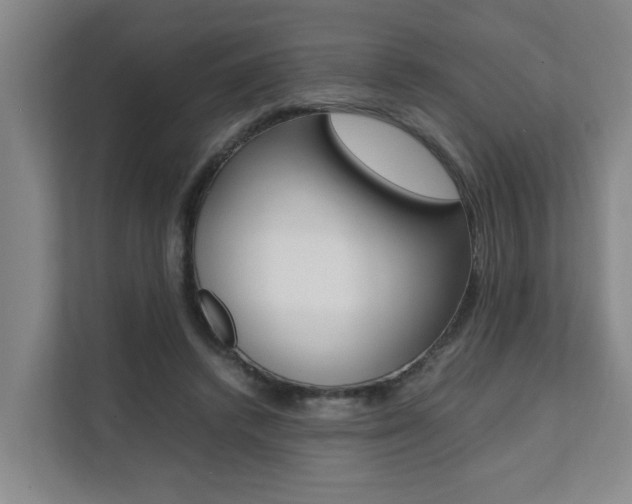 X0000112070448200908040954