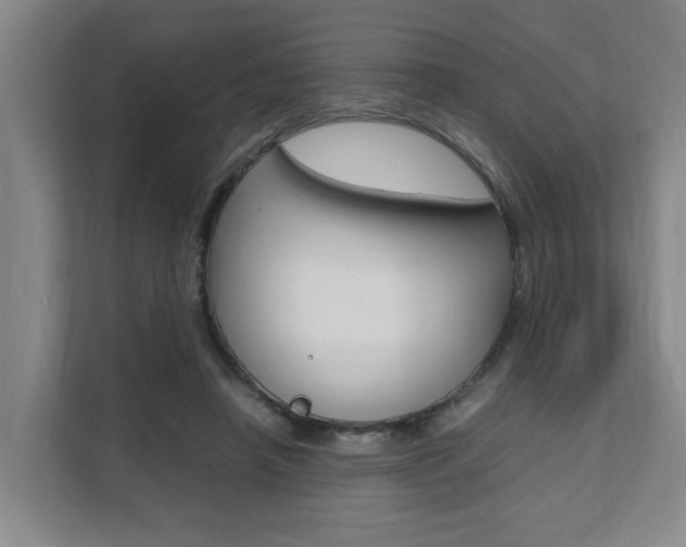 X0000112070450200908040954