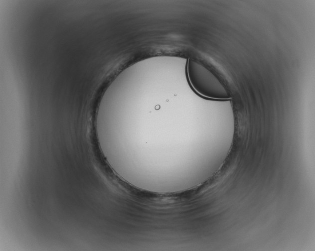 X0000112070451200908040954