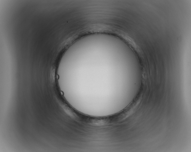 X0000112070454200908040954
