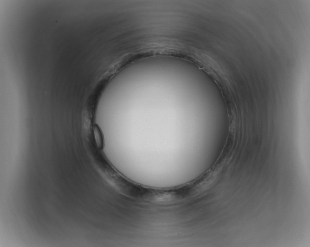 X0000112070456200908040954