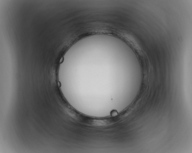 X0000112070457200908040954