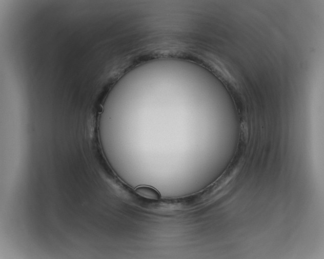 X0000112070458200908040954