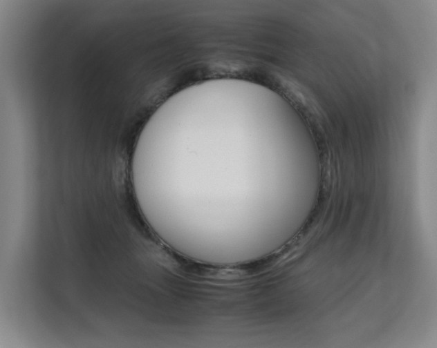 X0000112070463200908040954