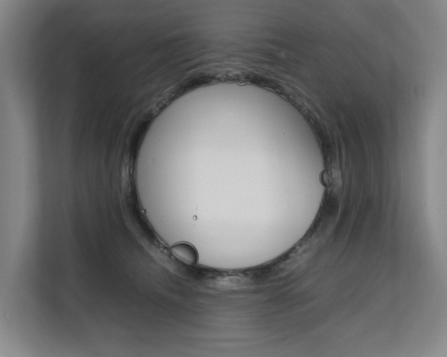 X0000112070468200908040954