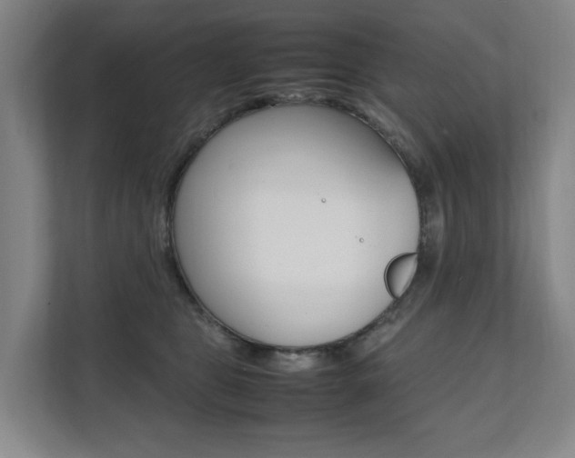 X0000112070469200908040954