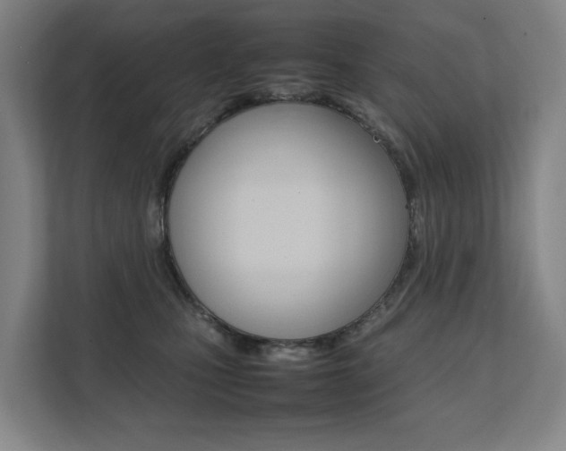 X0000112070471200908040954