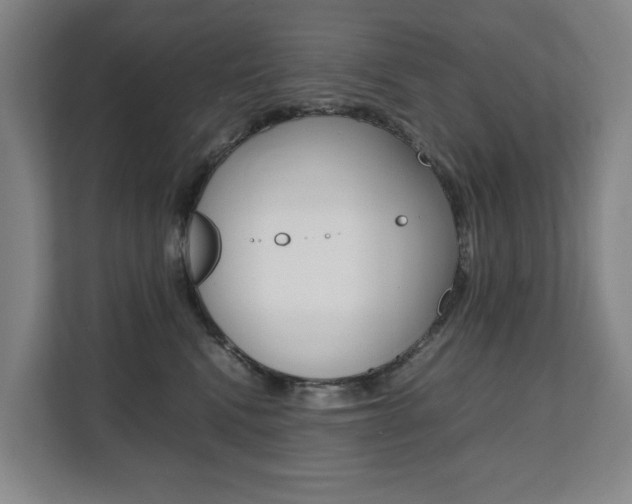 X0000112070472200908040954