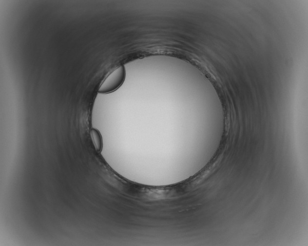 X0000112070473200908040954