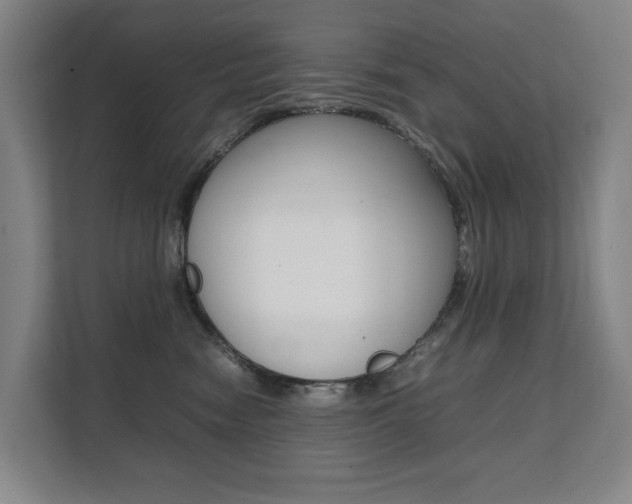 X0000112070474200908040954