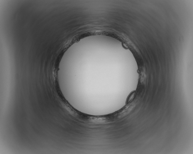 X0000112070476200908040954