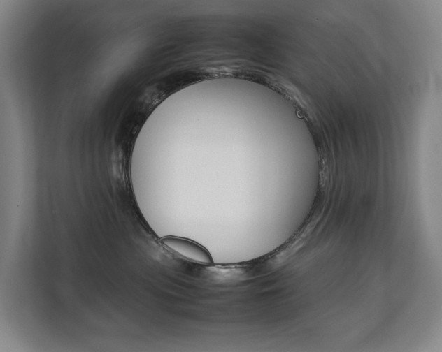 X0000112070477200908040954