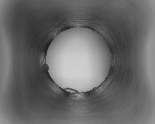 X0000112070478200908040954