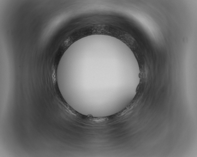X0000112070479200908040954