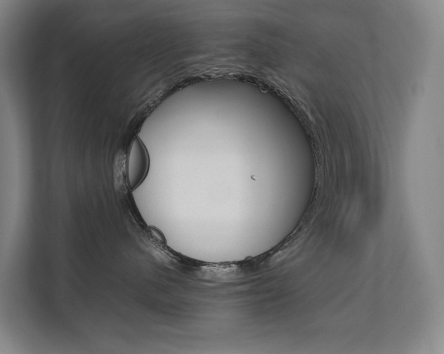 X0000112070480200908040954