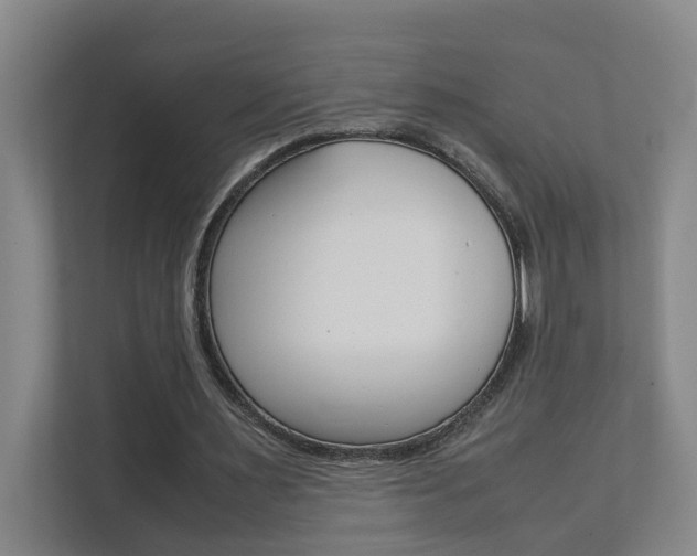 X0000112070483200908040953