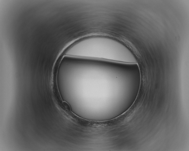 X0000112070484200908040953