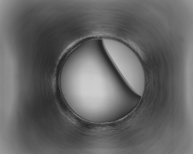 X0000112070488200908040953