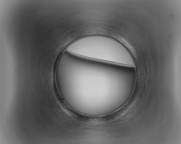 X0000112070489200908040953