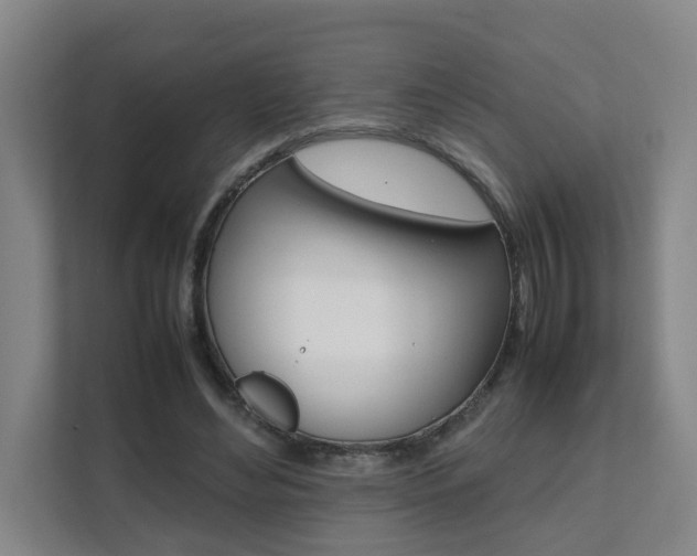 X0000112070492200908040953