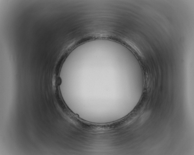 X0000112070494200908040953