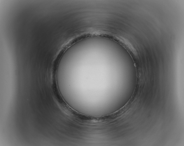X0000112070496200908040953