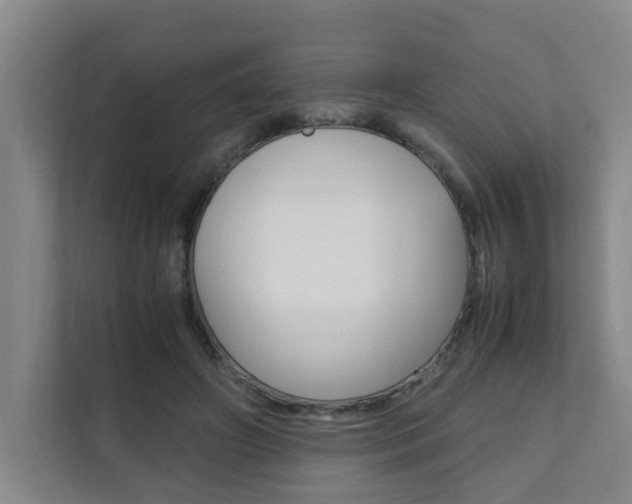 X0000112070498200908040953