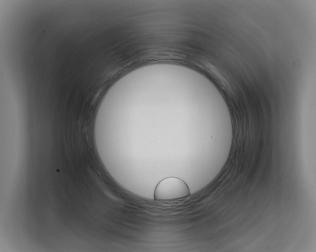 X0000112070500200908040953