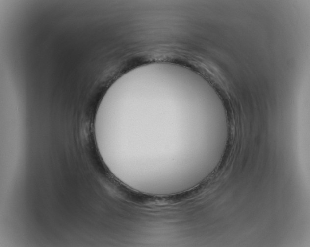 X0000112070503200908040953